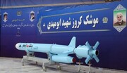 اولین کروز دریایی ایران که از هوش مصنوعی بهره می برد+ ویدئو