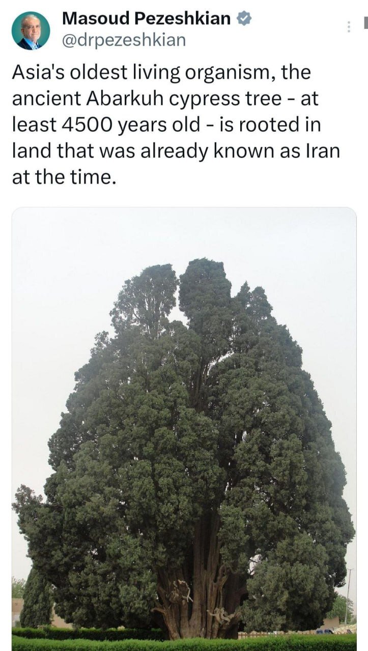 پیام جالب پزشکیان درباره قدمت ایران
