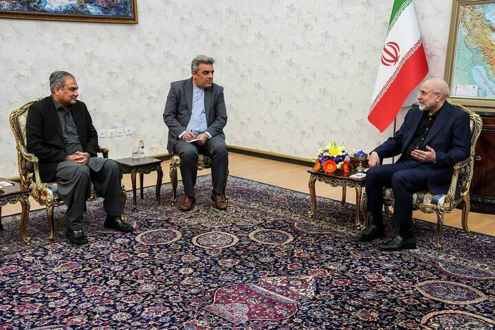 رئیس جمهور در دیدار با وزیر کشور پاکستان