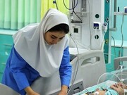 ایران، امپراتوری پیوند کبد در جهان  | ۷۰۰ پیوند کبد در بیمارستان نمازی شیراز انجام شده است + اینفوگرافیک