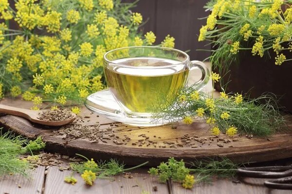 نگران چربی خونتان نباشید، با این دمنوشها کنترل میشود