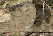 معمای تلخ کتیبه گمشده‌ در میان نیزارها!