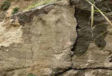 معمای تلخ کتیبه گمشده‌ در میان نیزارها!