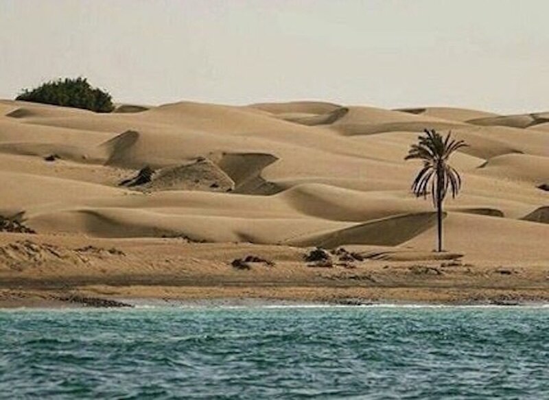 هواشناسی