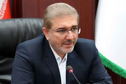 حذف ارز ترجیحی در زمان درستی انجام نشد
