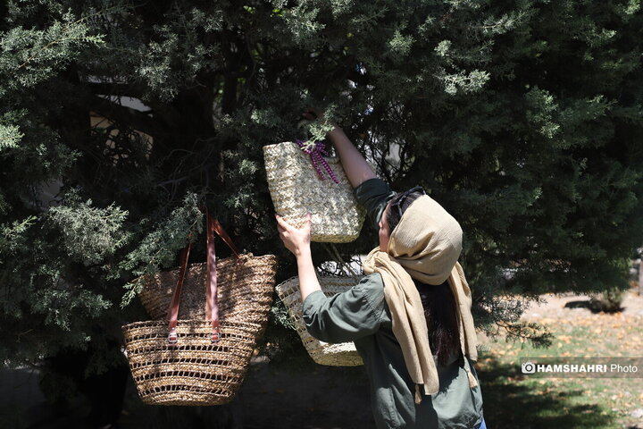 بازارچه پارک لاله
