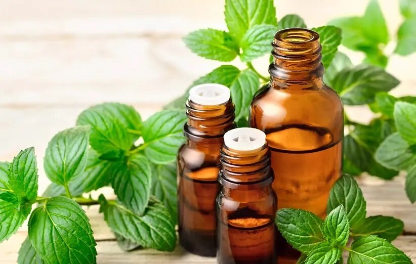 روغن نعنا