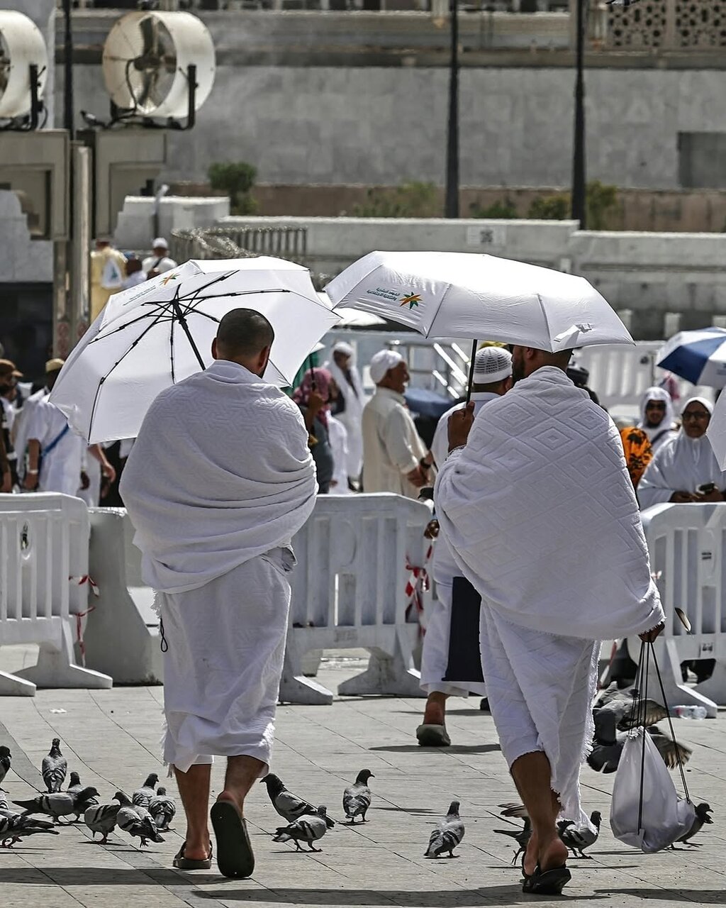 تصاویر خبرگزاری فرانسه از موسم حج امسال