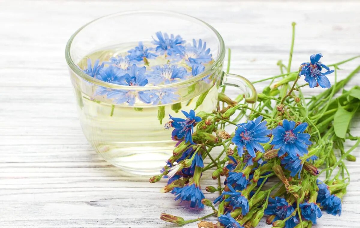 زمان طلایی ناشتا را برای درمان کبد چرب از دست ندهید + راهنمای تغذیه سالم