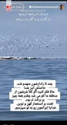 شرتان از این سرزمین دور باد!