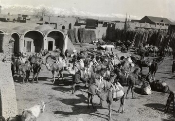 تهران دهه ۲۰ خورشیدی را ببینید + عکس