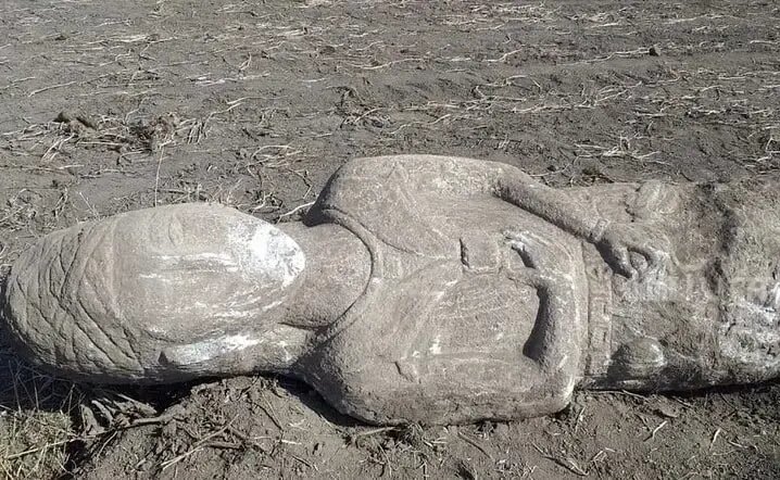 بیرون آمدن مجسمۀ ۳ متری از خاک به جای سیبزمینی | عکس