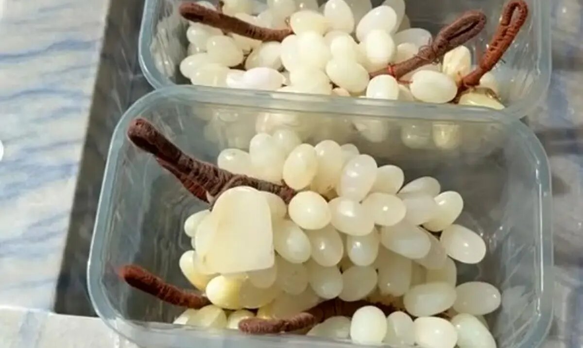 اجناس سنگی