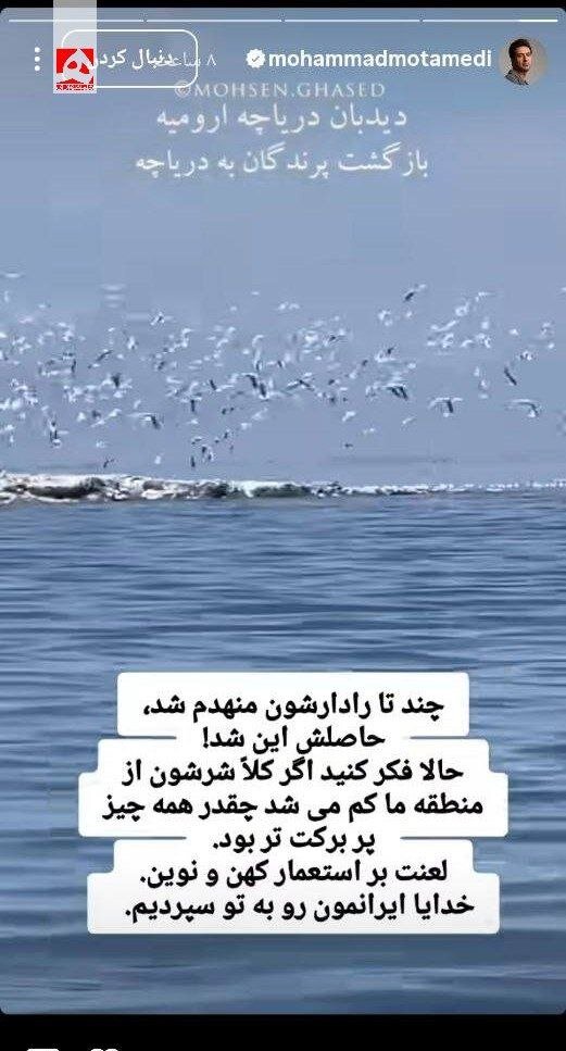 معتمدی