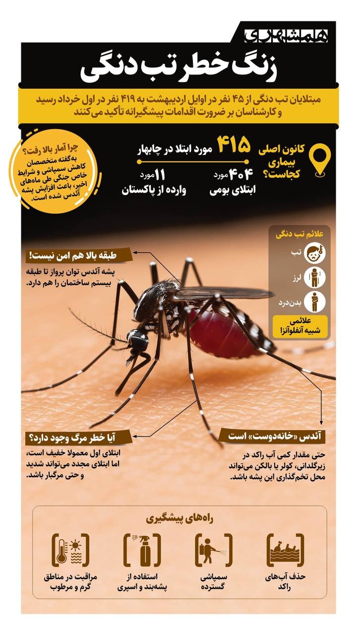 زنگ خطر تب دنگی | بر اساس آمار رسمی تا اول خرداد، ۴۱۹ نفر در کشور به تب دنگی مبتلا شده اند + اینفوگرافیک