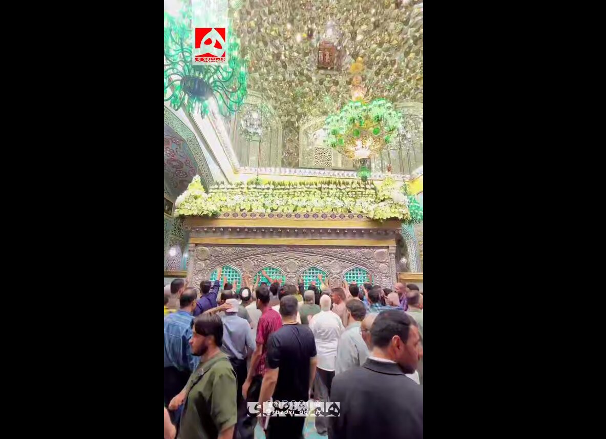 ضریح مطهر امام رضا(ع) گلباران شد + ویدئو | تصاویری از گل آرایی ضریح در ایام عید ولایت