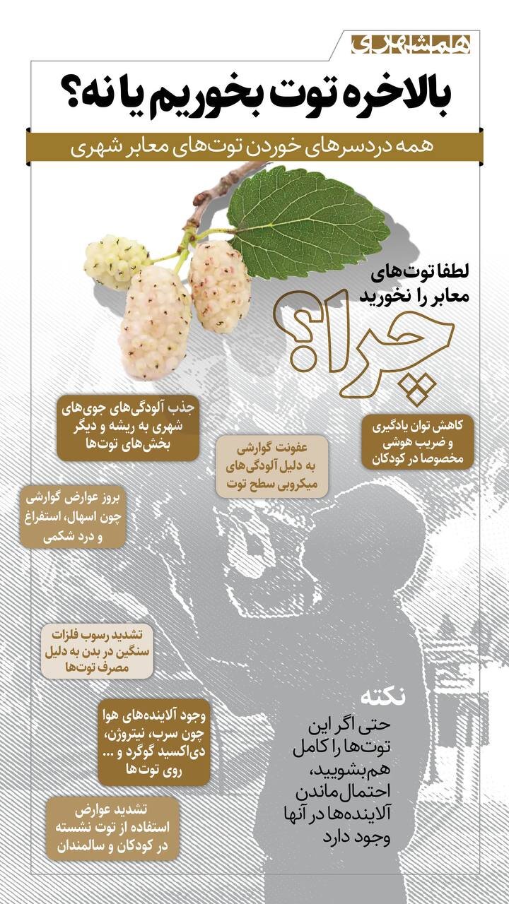 بالاخره توت درختان خیابان ها را بخوریم یا نه!؟ + اینفوگرافیک