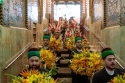 تصاویر گل‌آرایی زیبای ضریح امام حسین(ع) | ببینید