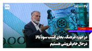 در حوزه فرهنگ، به جای کسب سود بالا، در حال خام‌فروشی هستیم