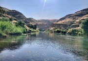 پربارش ترین استان های ایران را بشناسید | واقعا ایلام بیشترین بارش را داشت؟! | ببینید