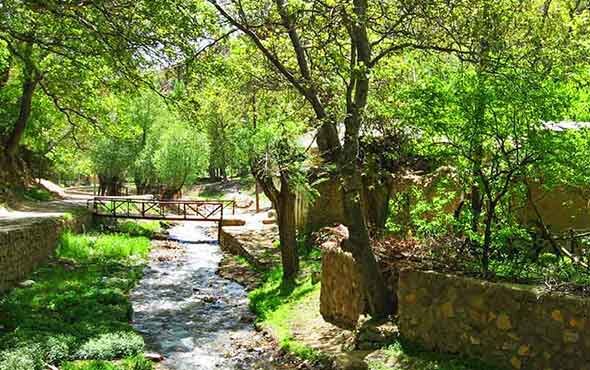 چند پیشنهاد جذاب برای فرار از گرما، فقط چند ساعت دورتر از تهران