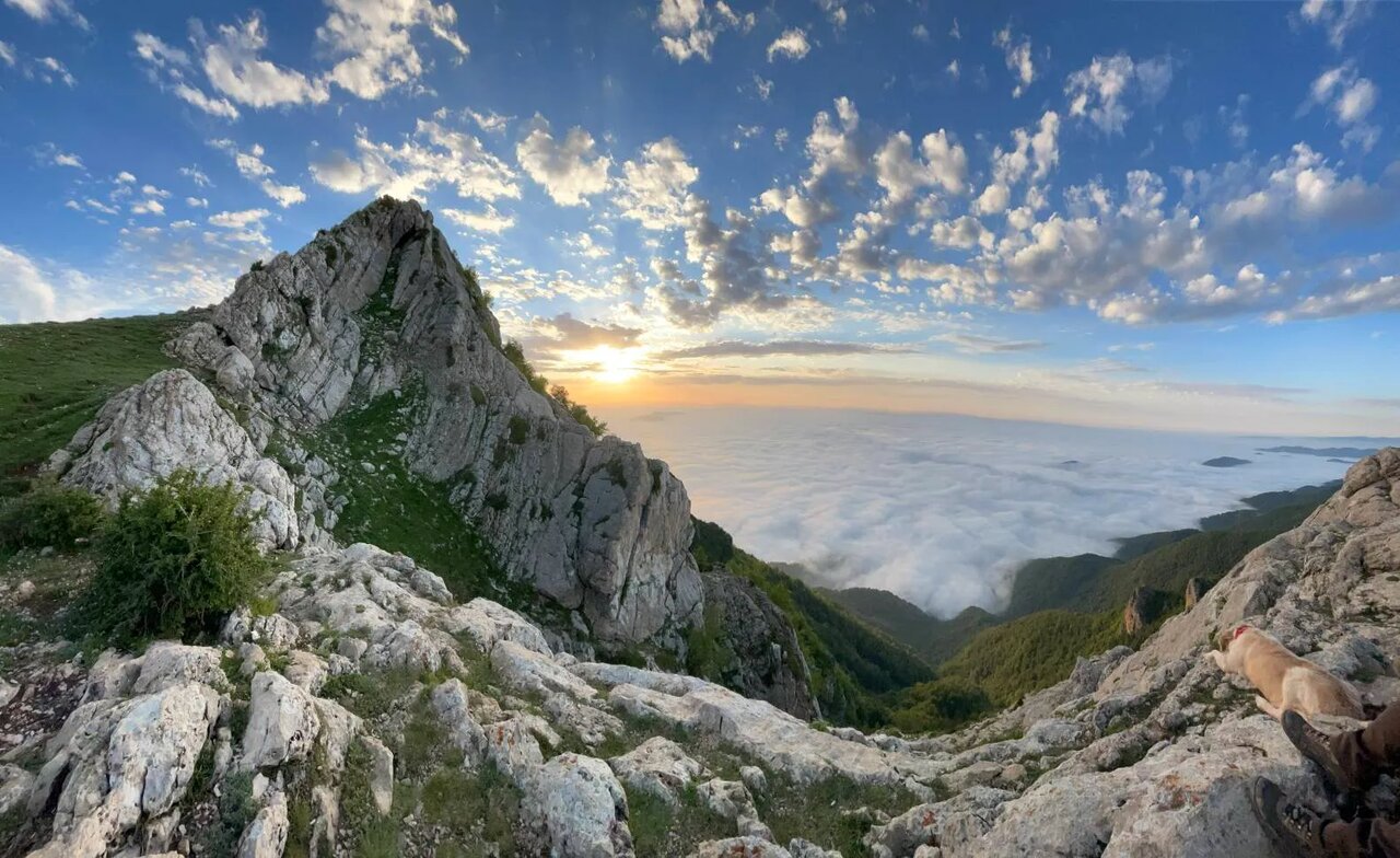 چند پیشنهاد جذاب برای فرار از گرما، فقط چند ساعت دورتر از تهران