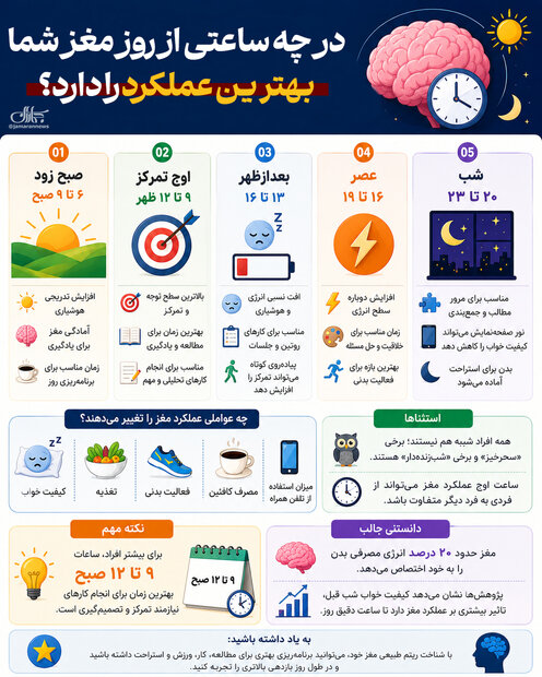 مغز شما در چه ساعتی از روز  بهترین عملکرد را دارد؟