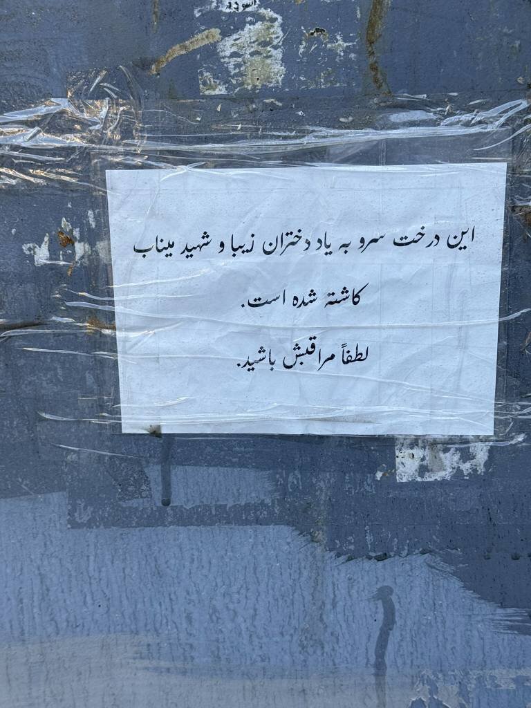 زندگی در چهارراه جنگ و صلح