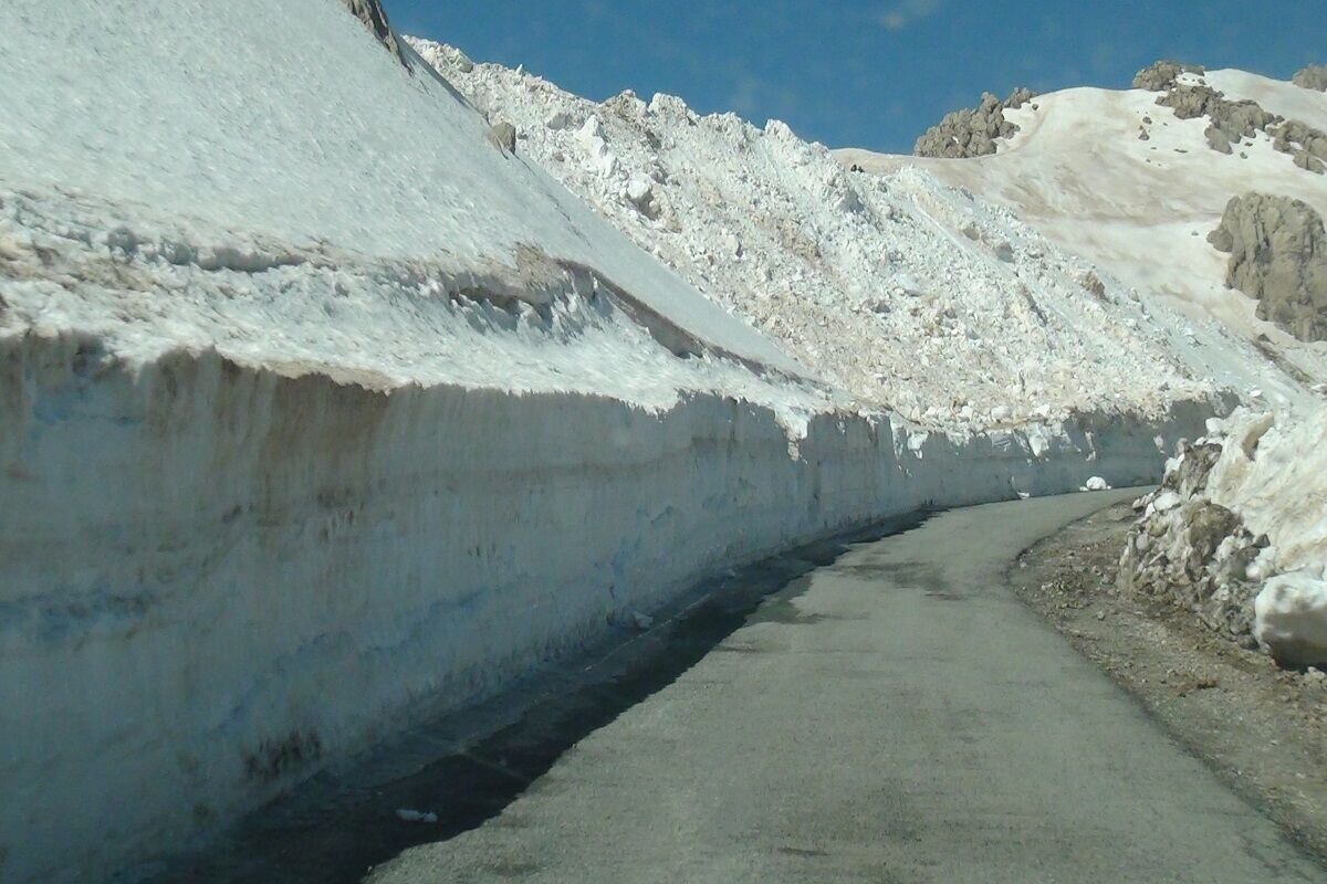 گردشگری