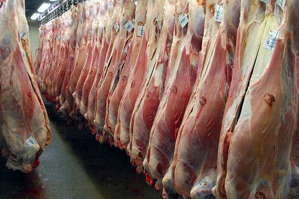 ثبت سفارش واردات گوشت گرم و منجمد از فردا آغاز میشود