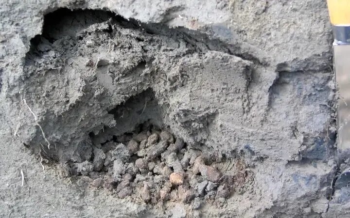کشف دی‌ان‌ای ۷۰۰ هزار ساله از عصر یخبندان