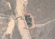 بازگشت یک تصویر مشهور؛ روستایی که از آسمان شبیه درخت است + عکس
