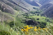 طراوت بی‌نظیر طبیعت در مسیر یوش - بلده؛ بهشت پنهان البرز را ببینید | تصاویر