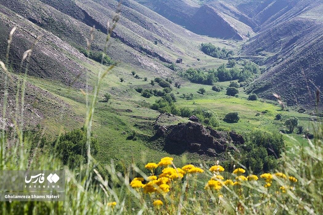 طراوت بینظیر طبیعت در مسیر یوش - بلده؛ بهشت پنهان البرز را ببینید | تصاویر