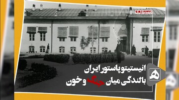 مستند انستیتو پاستور ایران ساخته شد