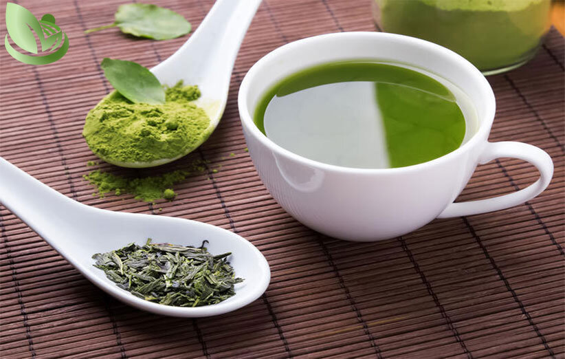 چای ماچا واقعا چربیهای بدن را آب میکند؟ | راز ماچا برای کاهش وزن