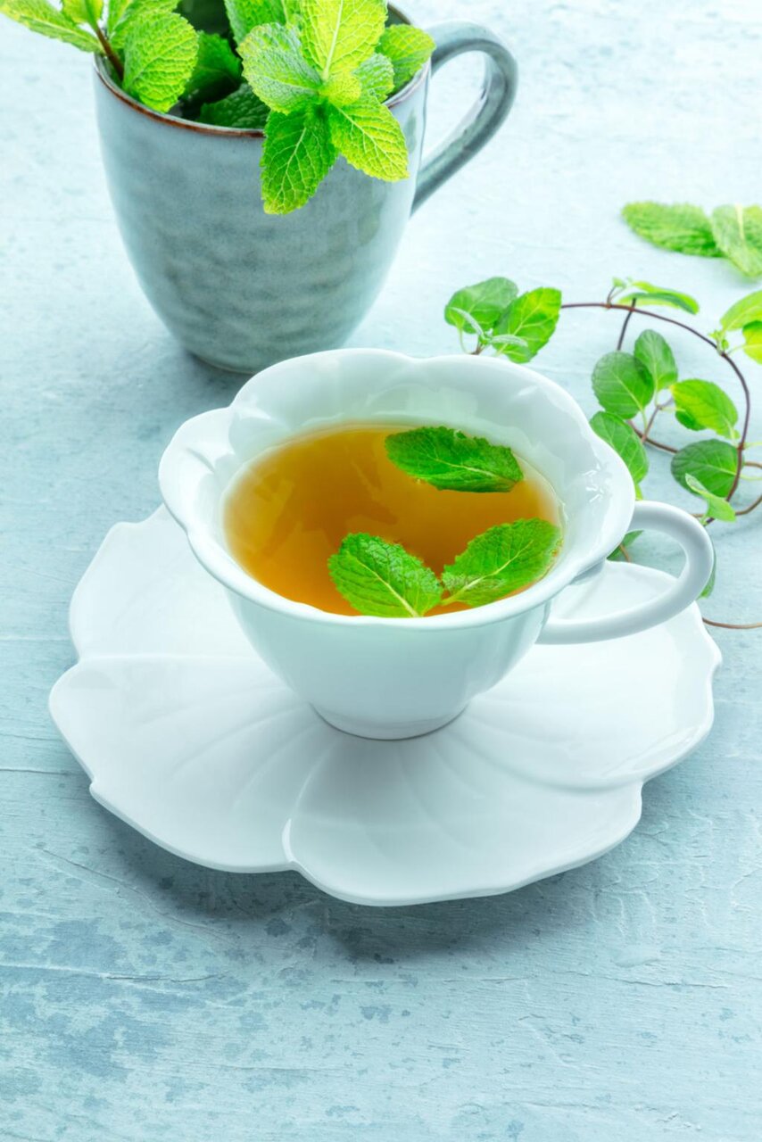 نوشیدنی معجزه‌آسایی که از معده تا مغز را آرام می‌کند + روش تهیه چای نعناع فلفلی