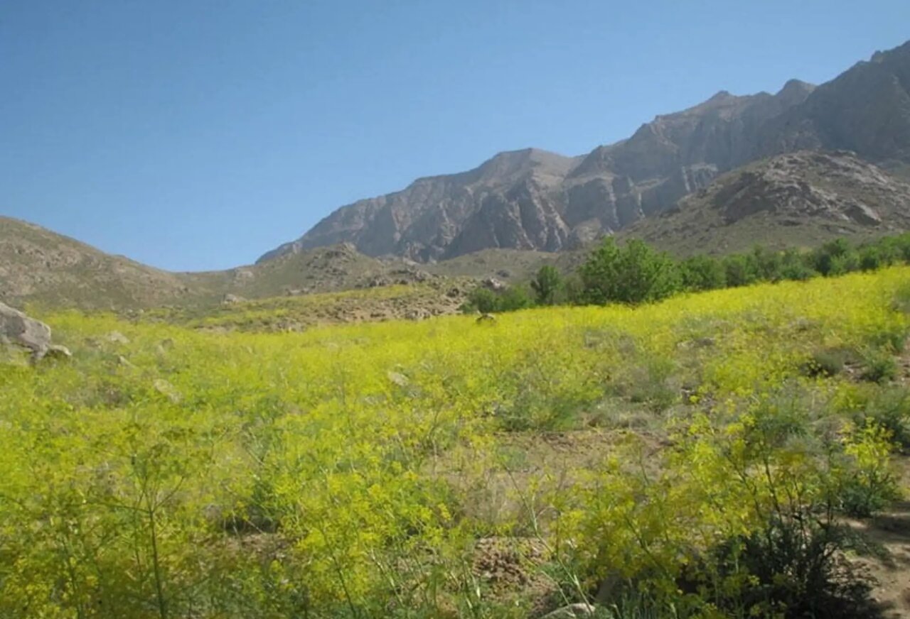 خنک ترین روستای یزد کجاست؟؛ ۹ جای خنک و دیدنی یزد برای سفرهای تابستانی + آدرس