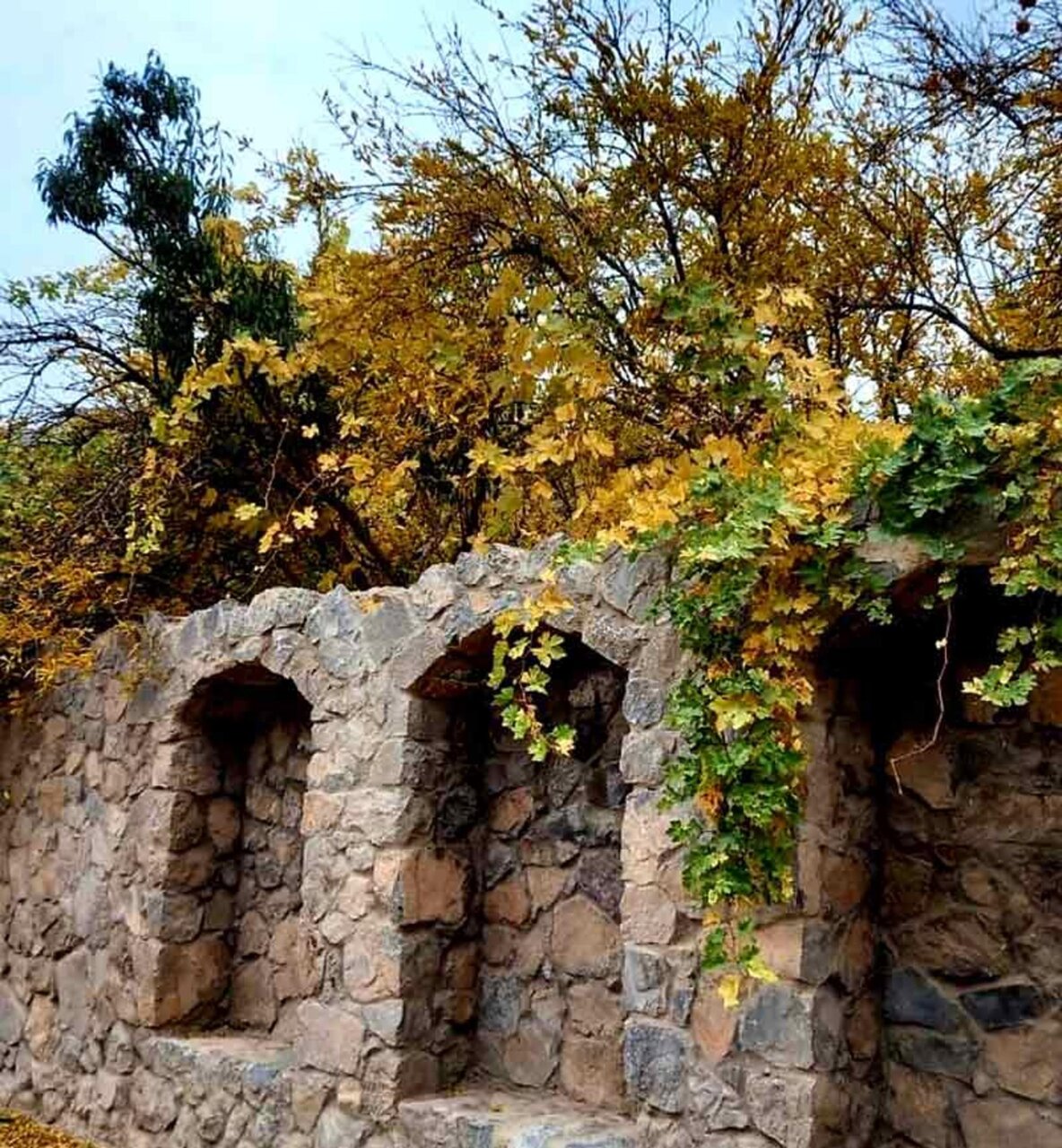 خنک ترین روستای یزد کجاست؟؛ ۹ جای خنک‌ و دیدنی یزد برای سفرهای تابستانی + آدرس