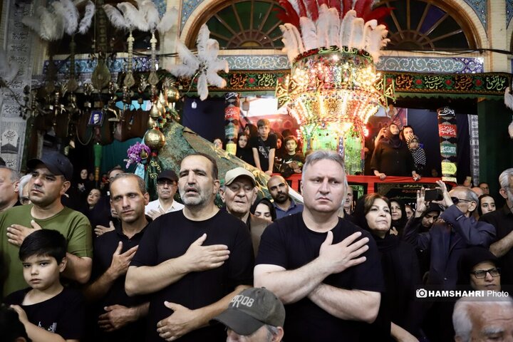 تعذیه تجریش