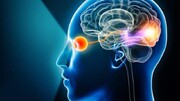 مغز مصنوعی ساختیم! | ببینید