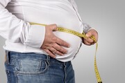 چربی دور شکم چگونه مغز را پیر می‌کند؟