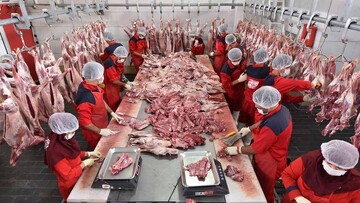 چراغ سبز دولت به بازار گوشت؛ جدیدترین قیمت گوشت گوسفندی |  چرا صادرات سویا ممنوع شد؟