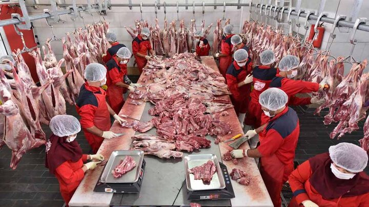 چراغ سبز دولت به بازار گوشت؛ جدیدترین قیمت گوشت گوسفندی |  چرا صادرات سویا ممنوع شد؟