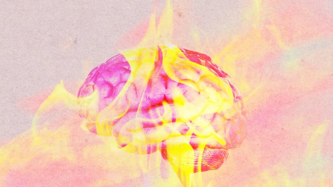 brain