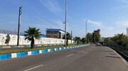 یک دهه زندگی نخل‌ های جنوبی در شمال کشور | چرا نخل‌ های بندرانزلی هنوز سرپا هستند؟  