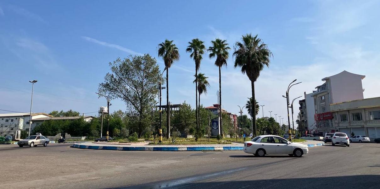 درخت نخل- بندر انزلی