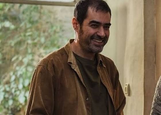 شهاب حسینی