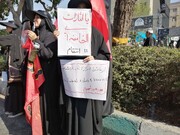 روایت یک میزبانی متفاوت؛ ۵۲۳ خانواده البرزی پذیرای زائران شدند