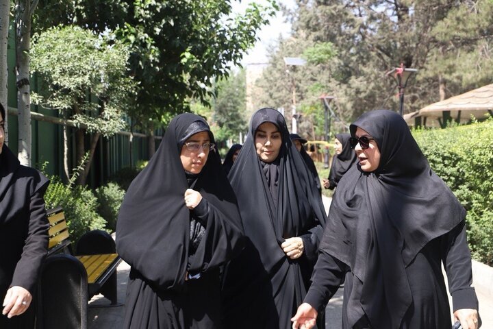 شمس احسان